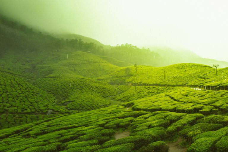Tea Highlands, Gems & Rivers